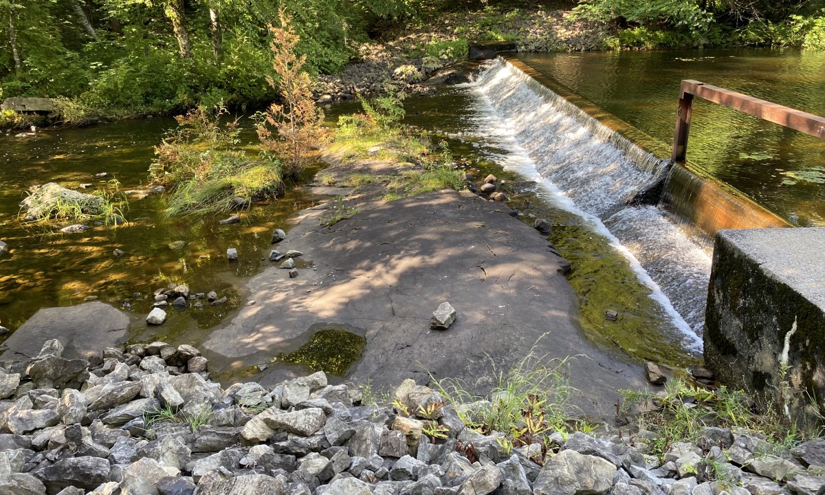 Vue aérienne d’un cours d’eau aménagé avec un ouvrage de retenue et des berges végétalisées  à Magog